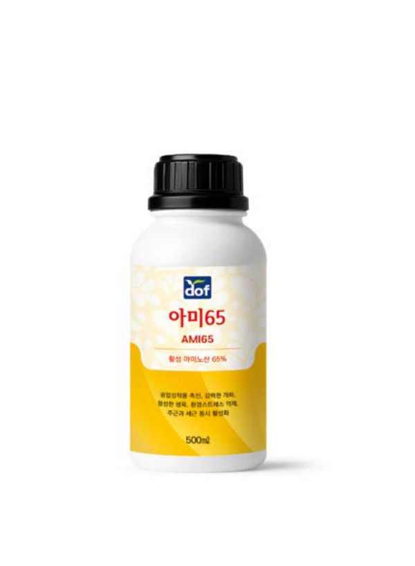 AMI 65