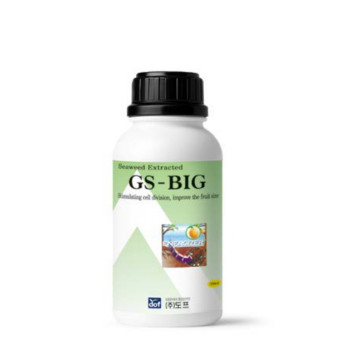 GS-BIG