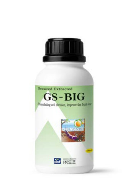 GS-BIG