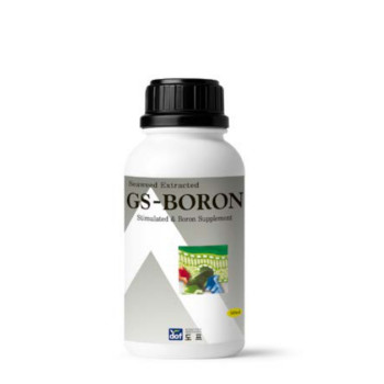 GS BORON