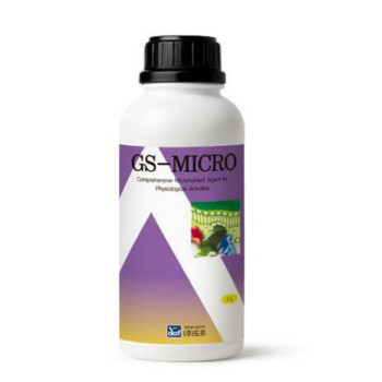 GS MICRO