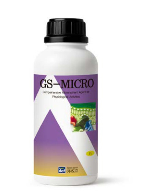GS MICRO