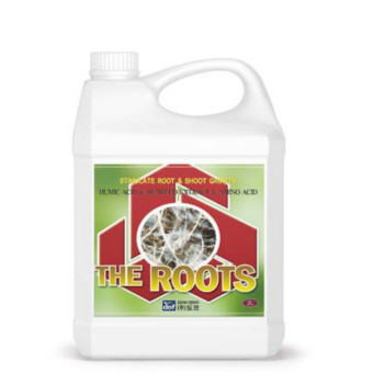 THE ROOTS