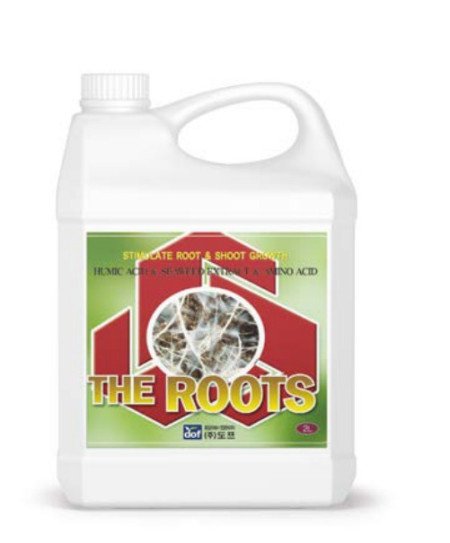 THE ROOTS