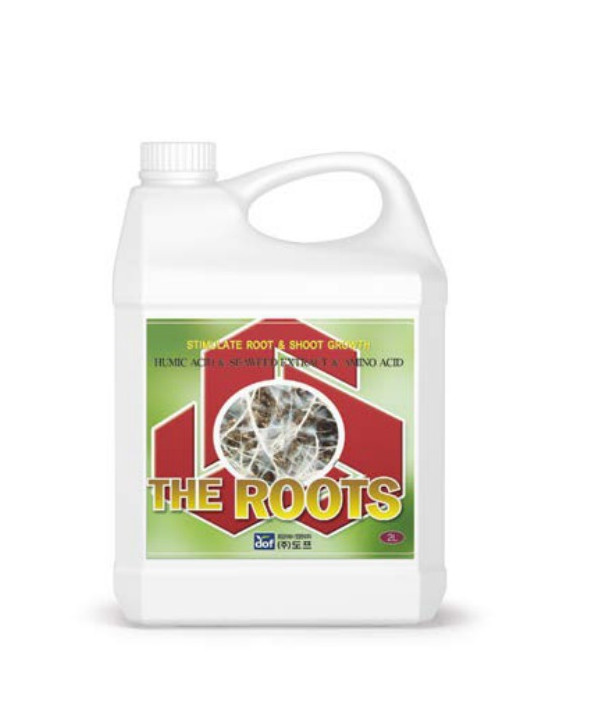 THE ROOTS