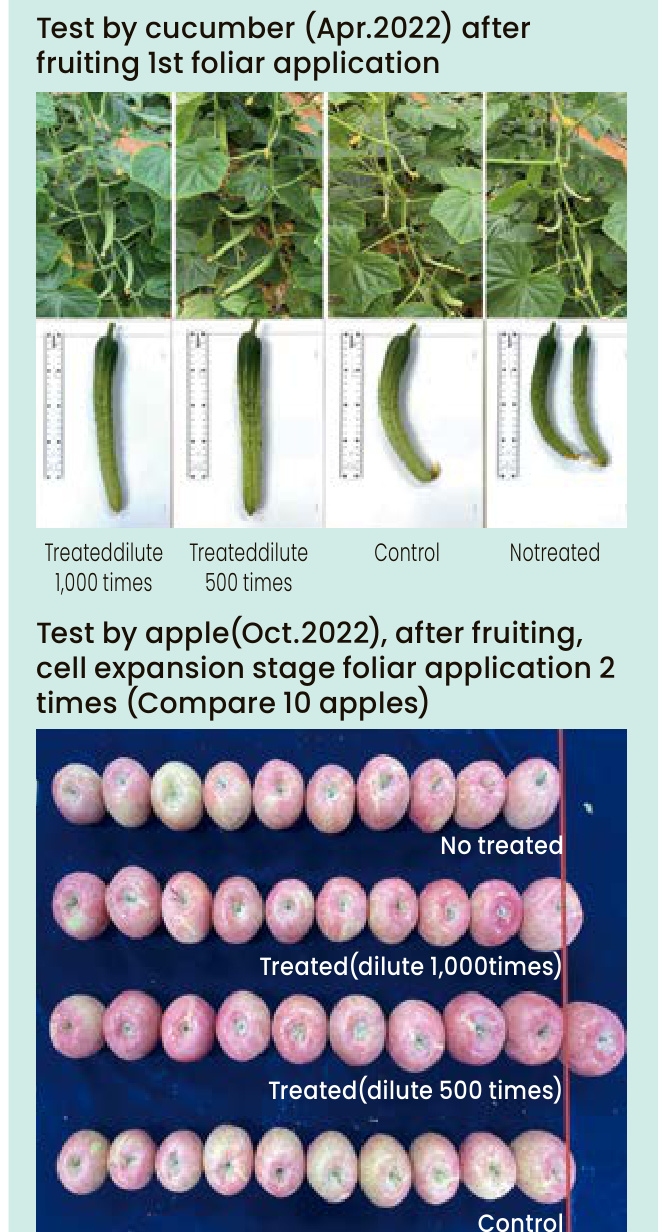 BIG GRA Field Trial