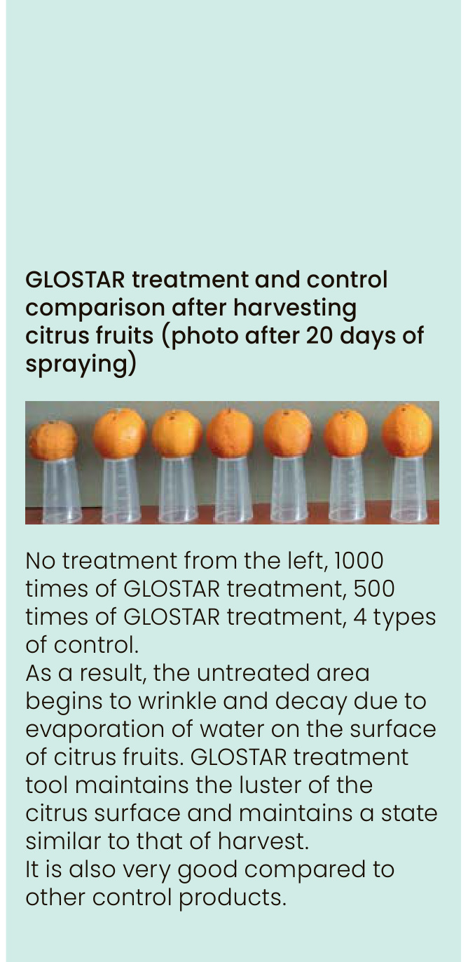 GLOSTAR Field Trial