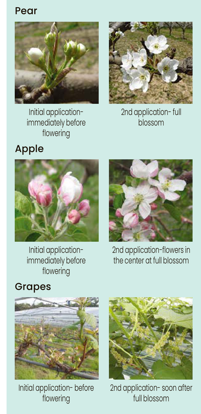 GS-BIG Field Trial