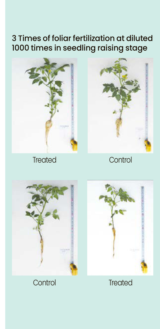 LUK-S Field Trial