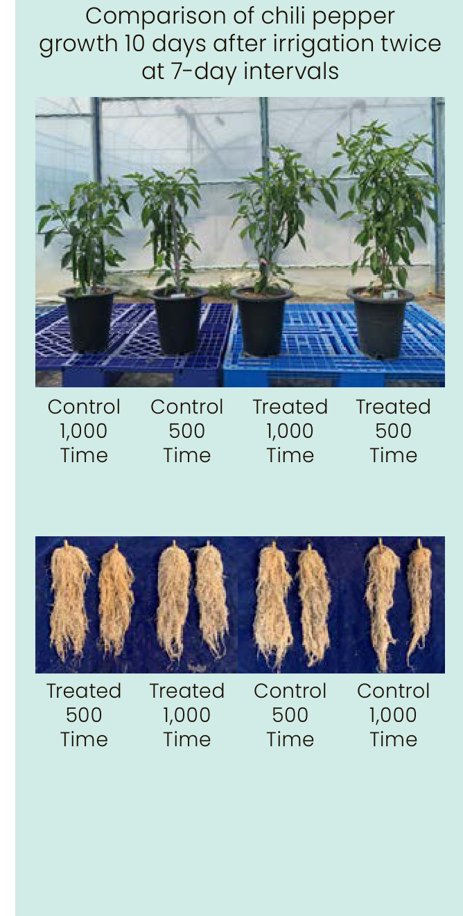 POWER POLY-P Field Trial