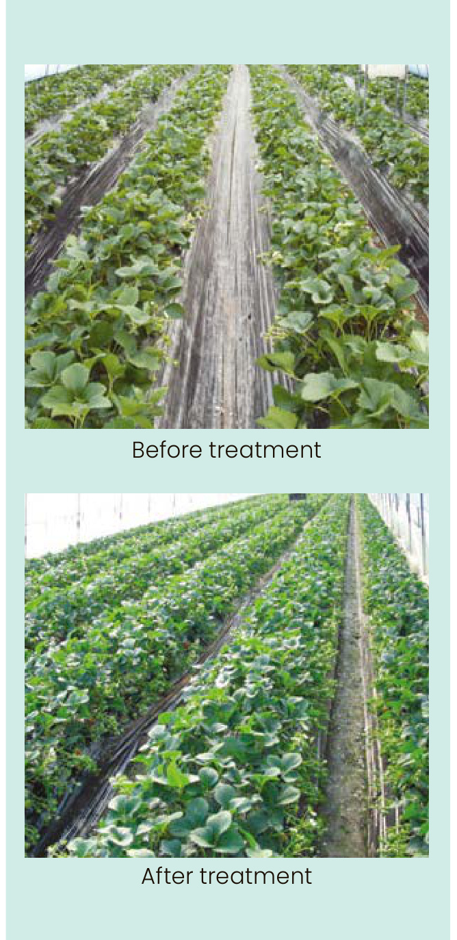 RECORVER Field Trial