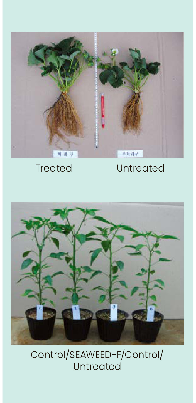 SEAWEED-F Field Trial