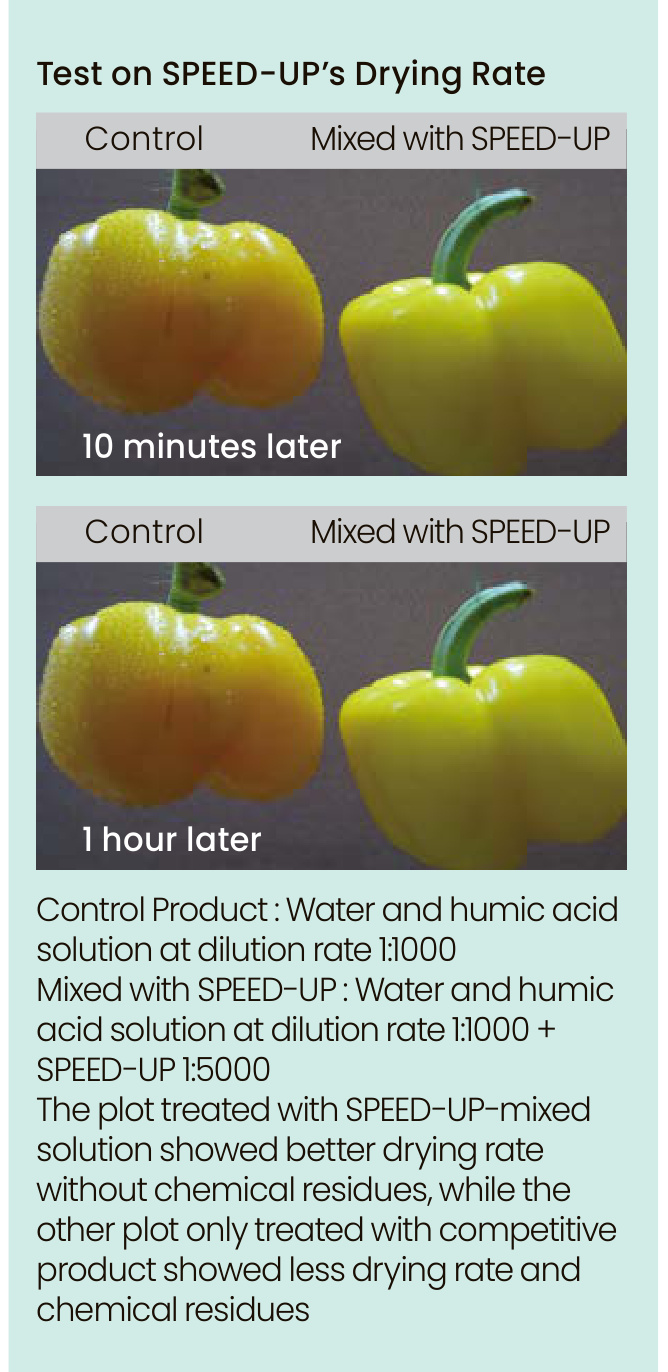 SPEED UP Field Trial